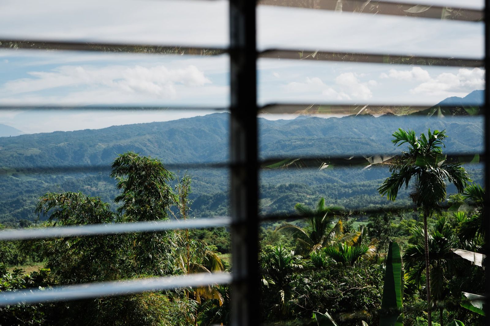 The view of the Kabankalan mountains from the Negros 9 weaving centre, Negros Occidental