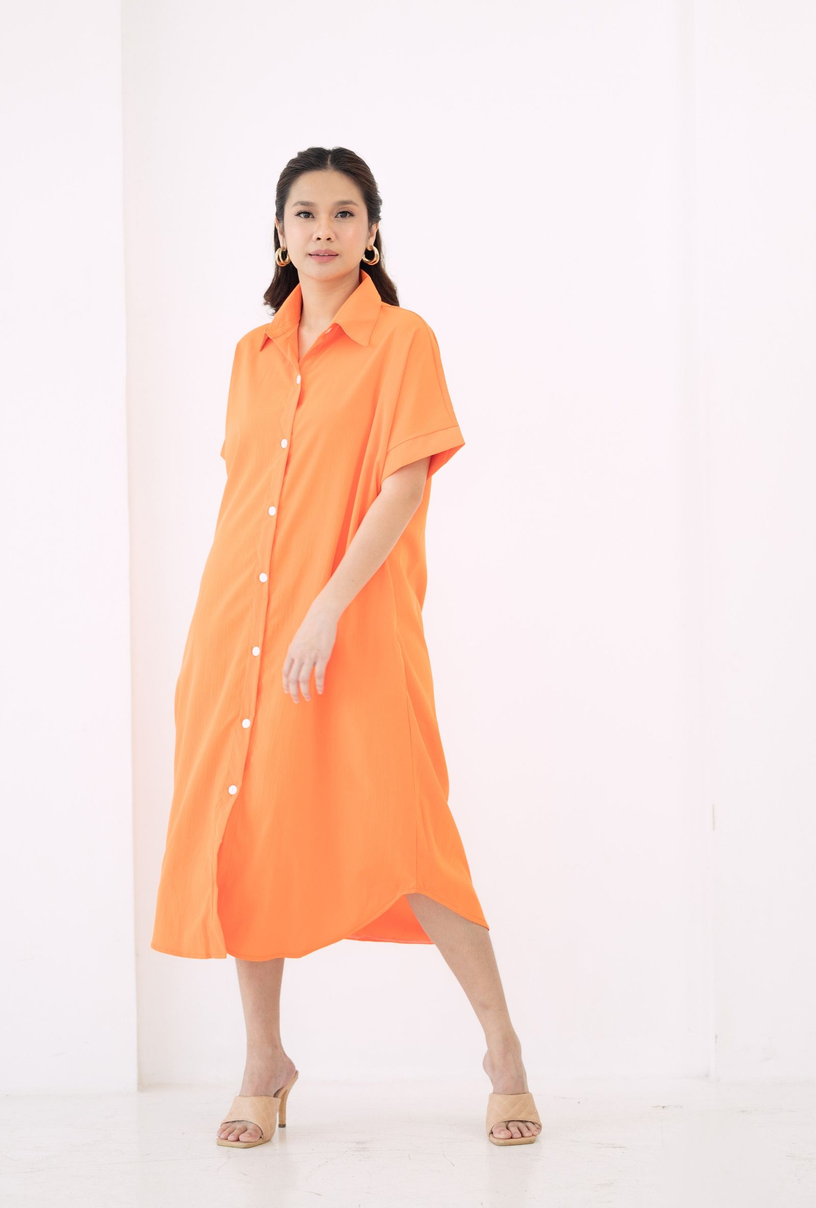GS The Classics: Rosemarie Buttondown Dress