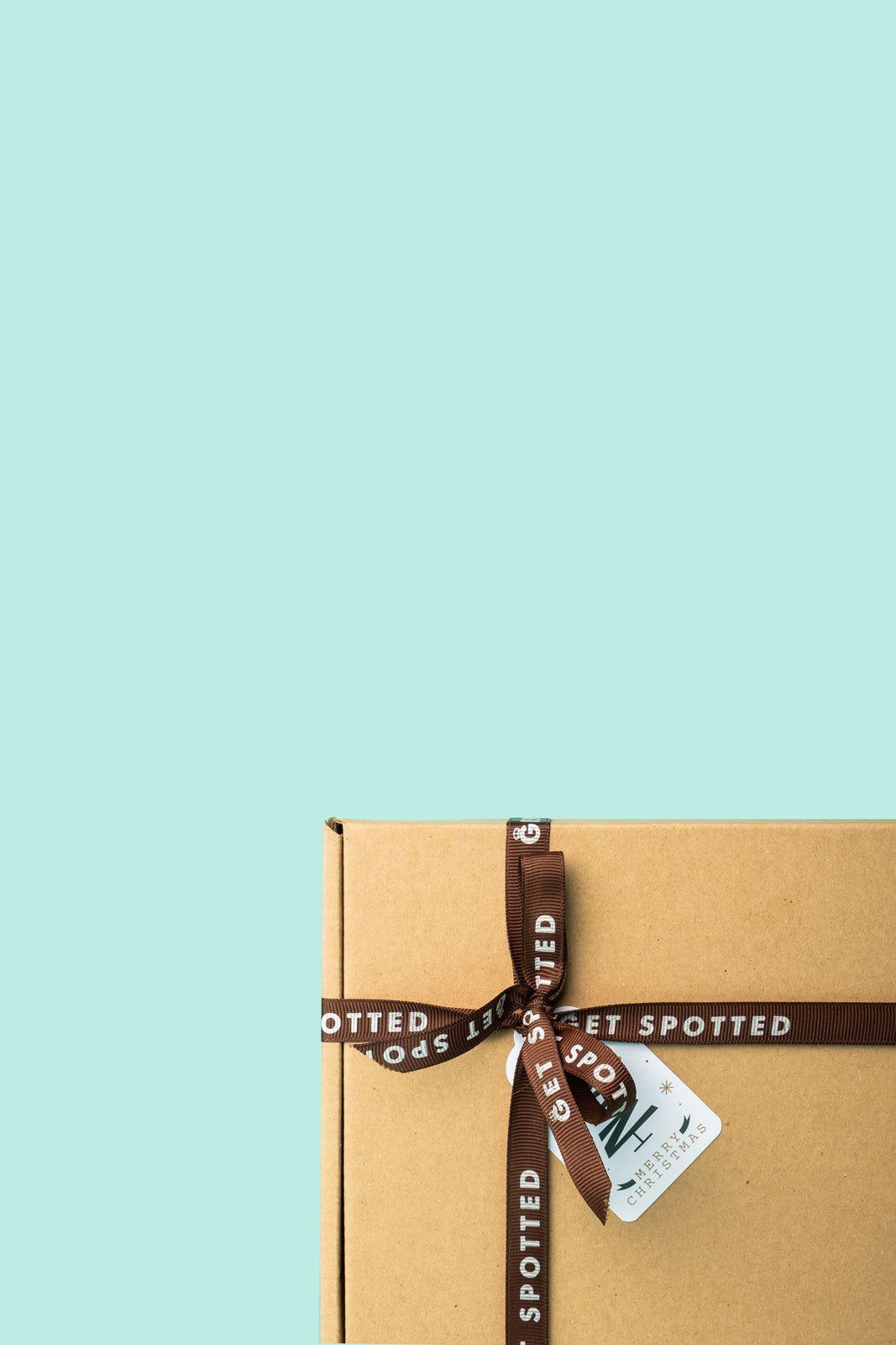 Mystery Package