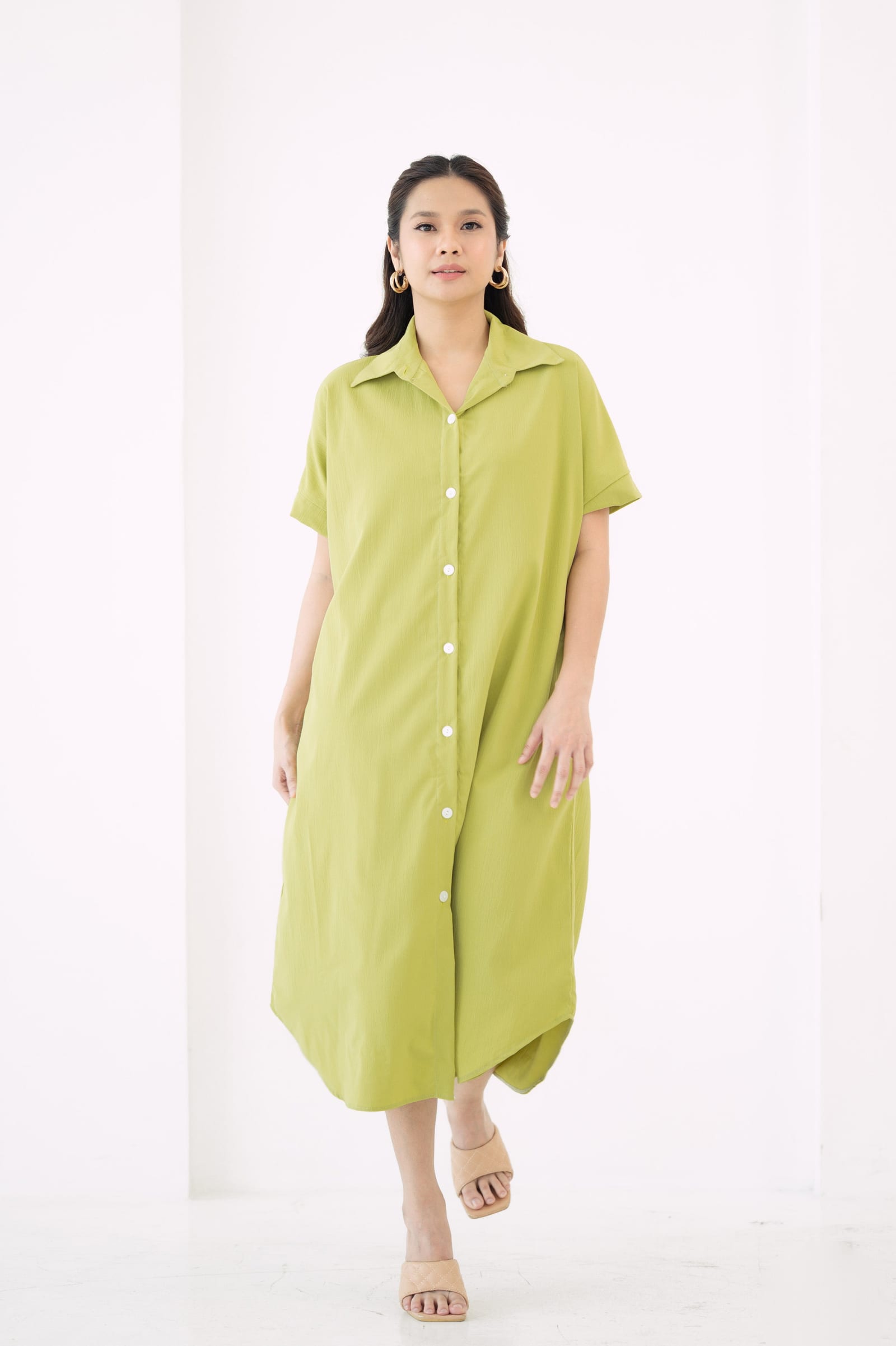 GS The Classics: Rosemarie Buttondown Dress