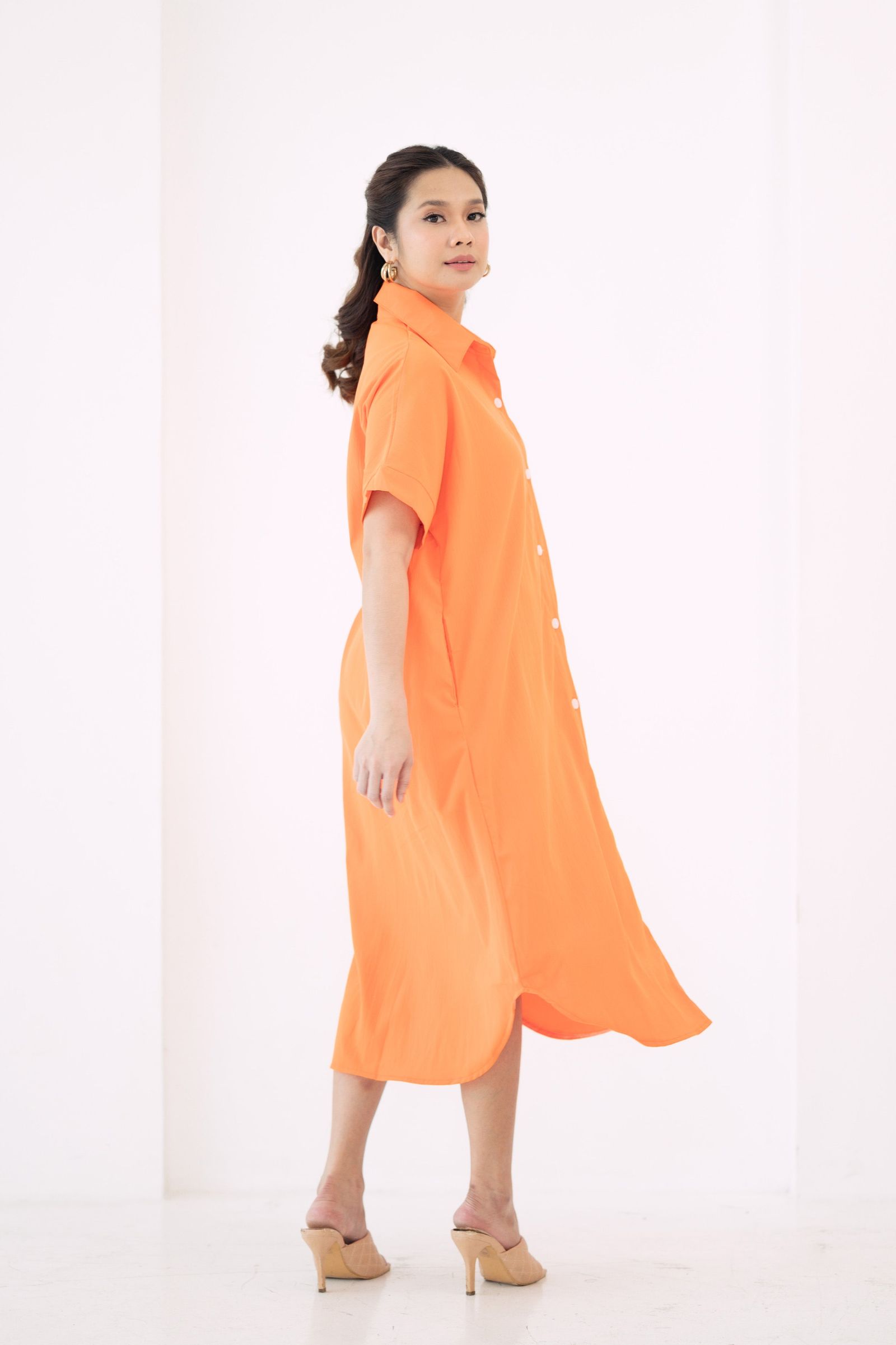 GS The Classics: Rosemarie Buttondown Dress