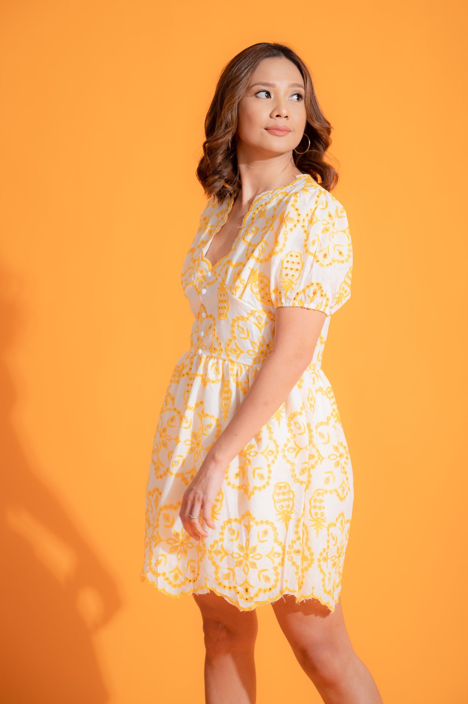 GS Eyelet: Dane Dress